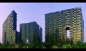 Shenzhen Mangrove West Coast